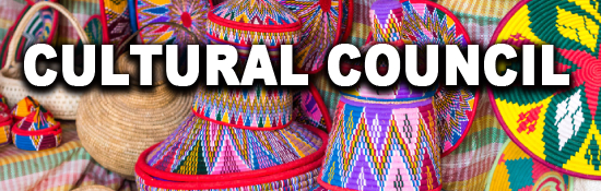 India Djibouti Business and Cultural Council - Cultural Council